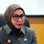 Walikota Banjarbaru, Hj Erna Lisa Halaby
