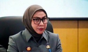 Walikota Banjarbaru, Hj Erna Lisa Halaby